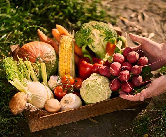 légumes